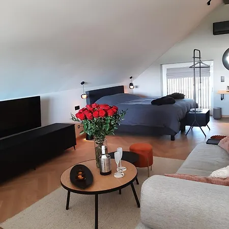 Le Milan Royal -suite Luxueuse Avec Sauna Et Jacuzzi * Vielsalm